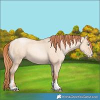 Horse Color:Sable Champagne Pearl Dun Sabino Tobiano 