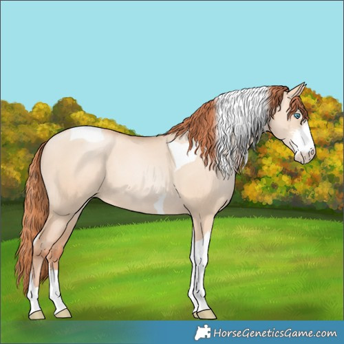 Horse Color:Sable Champagne Pearl Dun Sabino Tobiano 