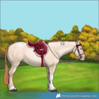 Horse Color:Sable Champagne Pearl Dun Sabino Tobiano 