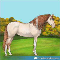 Horse Color:Sable Champagne Pearl Dun Sabino Tobiano