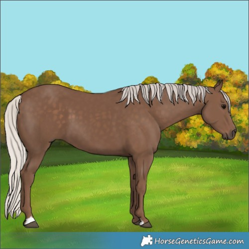 Horse Color:Silver Black 