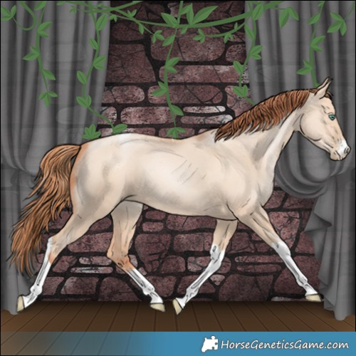 Horse Color:Classic Champagne Pearl Dun Sabino Tobiano