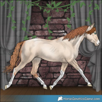 Horse Color:Classic Champagne Pearl Dun Sabino Tobiano 