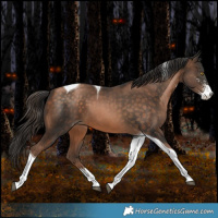 Horse Color:Bay Pearl Sabino Tobiano