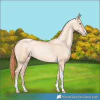 Horse Color:Sable Champagne Pearl Dun Sabino Tobiano
