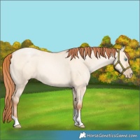 Horse Color:Sable Champagne Pearl Dun Sabino Tobiano 