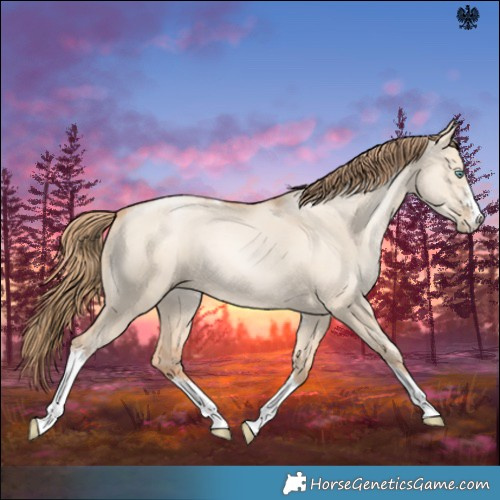 Horse Color:Gold Champagne Pearl Dun Sabino Tobiano 