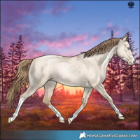 Horse Color:Gold Champagne Pearl Dun Sabino Tobiano 