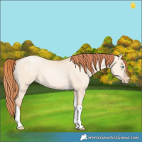 Horse Color:Sable Champagne Pearl Dun Sabino Tobiano