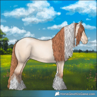 Horse Color:Classic Champagne Pearl Dun Sabino Tobiano 