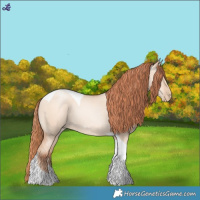 Horse Color:Sable Champagne Pearl Dun Sabino Tobiano 