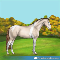 Horse Color:Sable Champagne Pearl Dun Sabino Tobiano 