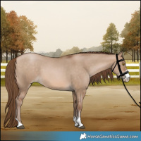 Horse Color:Brown Pearl Dun Sabino Tobiano