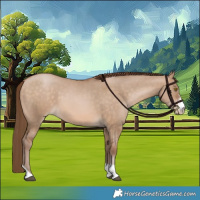 Horse Color:Brown Pearl Dun Sabino Tobiano