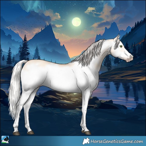Horse Color:Silver Classic Champagne Dun Splash Frame