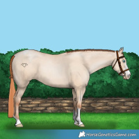 Horse Color:Sable Champagne Pearl Dun Sabino Tobiano 