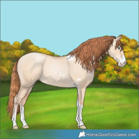 Horse Color:Classic Champagne Pearl Dun Sabino Tobiano