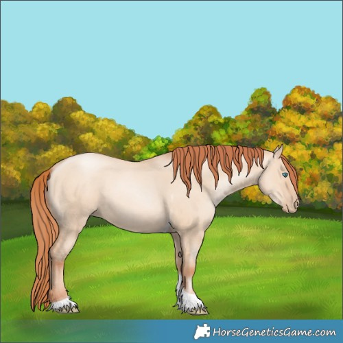 Horse Color:Sable Champagne Pearl Dun Sabino Tobiano