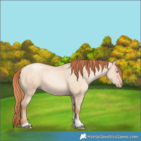 Horse Color:Sable Champagne Pearl Dun Sabino Tobiano 