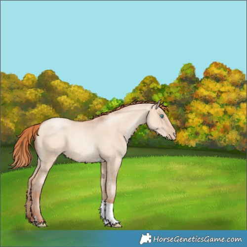 Horse Color:Sable Champagne Pearl Dun Sabino Tobiano 