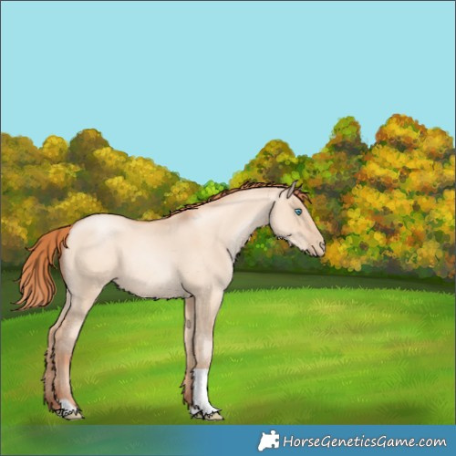 Horse Color:Sable Champagne Pearl Dun Sabino Tobiano