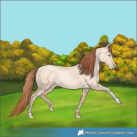 Horse Color:Sable Champagne Pearl Dun Sabino Tobiano 
