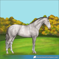 Horse Color:Powder White Platinum Brown Pearl Dun Sabino