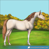 Horse Color:Sable Champagne Pearl Dun Sabino Tobiano