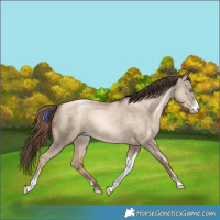 Horse Color:Sable Champagne Pearl Dun Sabino Tobiano 