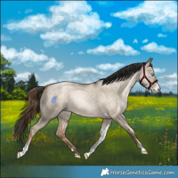 Horse Color:Sable Champagne Pearl Dun Sabino Tobiano