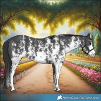Horse Color:Black Sabino 