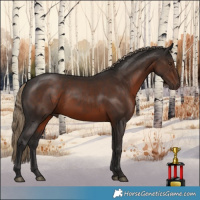 Horse Color:Liver Chestnut 