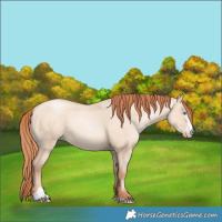 Horse Color:Sable Champagne Pearl Dun Sabino Tobiano