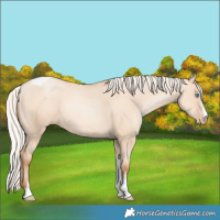 Horse Color:Silver Classic Champagne Pearl Dun Sabino Tobiano 