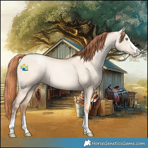 Horse Color:Sable Champagne Pearl Dun Sabino Tobiano 