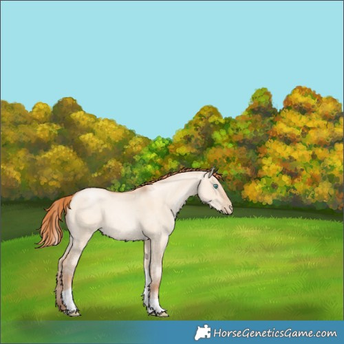 Horse Color:Sable Champagne Pearl Dun Sabino Tobiano