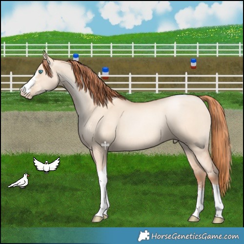 Horse Color:Sable Champagne Pearl Dun Sabino Tobiano 