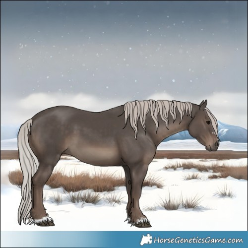 Horse Color:Silver Black 