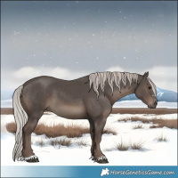 Horse Color:Silver Black 