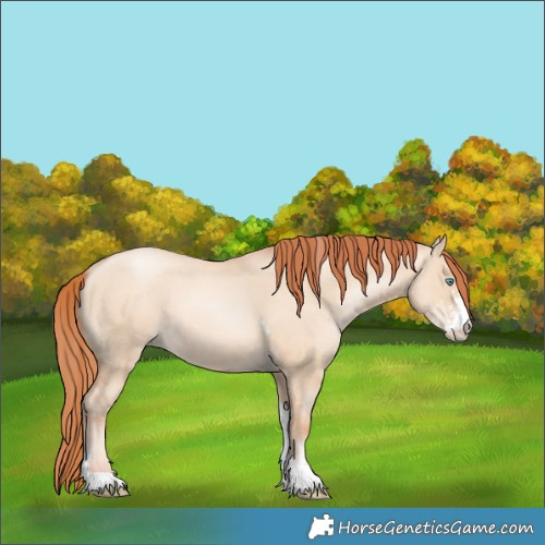 Horse Color:Sable Champagne Pearl Dun Sabino Tobiano 