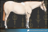 Horse Color:Classic Champagne Pearl Dun Sabino Tobiano Rabicano