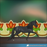 Horse Color:Black 
