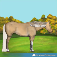 Horse Color:Silver Buckskin Dun Tobiano