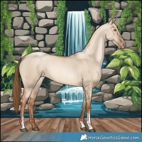 Horse Color:Liver Red Dun Pearl Sabino Tobiano