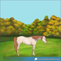 Horse Color:Sable Champagne Pearl Dun Sabino Tobiano 