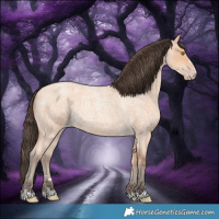 Horse Color:Amber Champagne Roan 