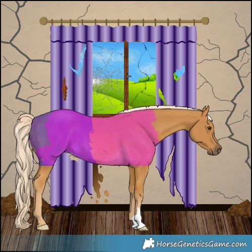 Horse Color:Palomino 