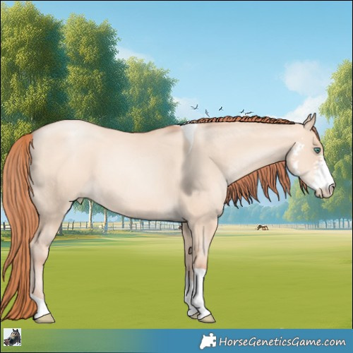 Horse Color:Classic Champagne Pearl Dun Sabino Tobiano