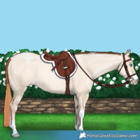 Horse Color:Sable Champagne Pearl Dun Sabino Tobiano