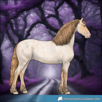 Horse Color:Gold Champagne Roan